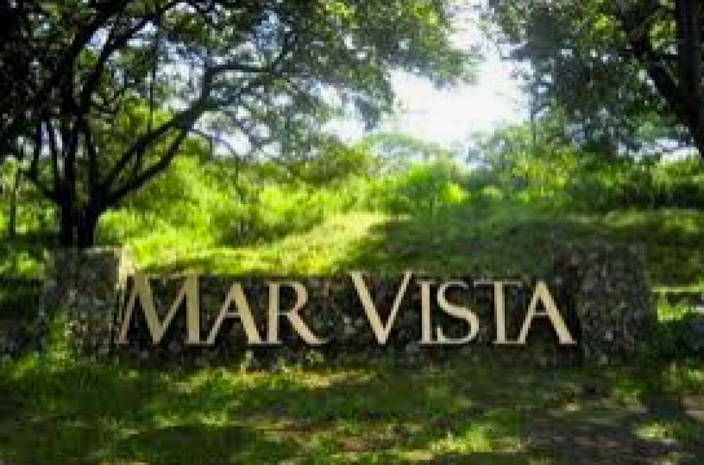 Mar Vista, Palms